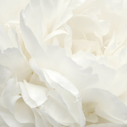 Galerie Wallcoverings Atmosphere MURAL Galerie Wallcoverings  White   - G78424