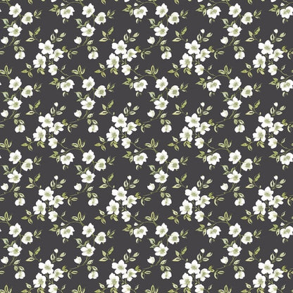 Galerie Wallcoverings Secret Garden Anenome Mini Galerie Wallcoverings  Black   - G78480