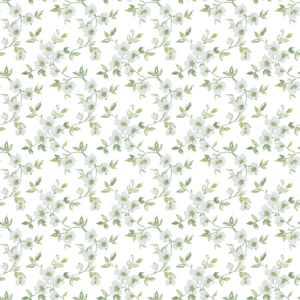 Galerie Wallcoverings Secret Garden Anenome Mini Galerie Wallcoverings  Green   - G78483