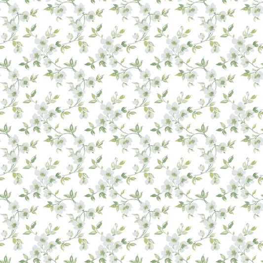 Galerie Wallcoverings Secret Garden Anenome Mini Galerie Wallcoverings  Green   - G78483