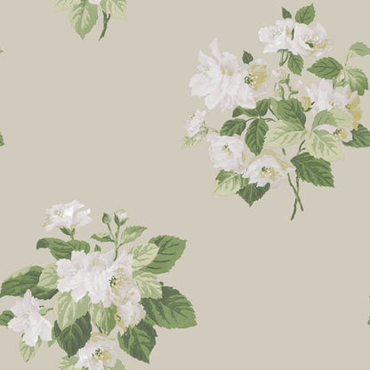 Beige floral wallpaper pattern with white roses and green leaves, vintage botanical design.