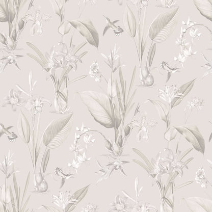 Galerie Wallcoverings Secret Garden Cottage Botanical Galerie Wallcoverings  Beige   - G78503