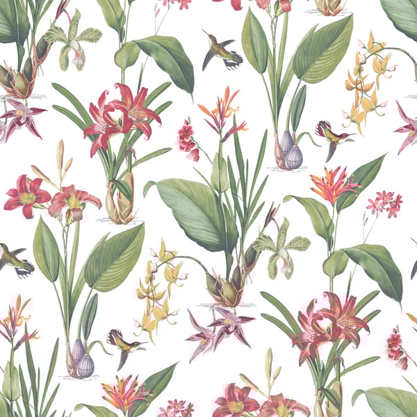 Galerie Wallcoverings Secret Garden Cottage Botanical Galerie Wallcoverings  Multi-coloured, Multi   - G78505