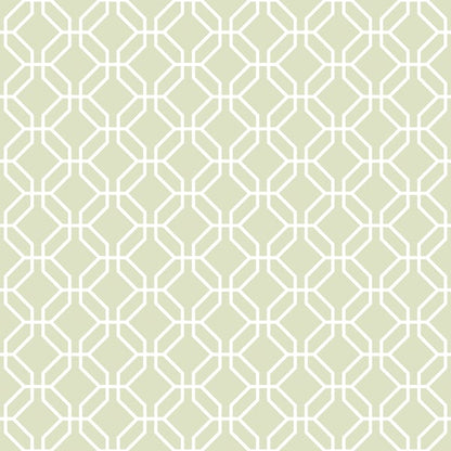 Galerie Wallcoverings Secret Garden Trellis Negative Galerie Wallcoverings  Green   - G78523