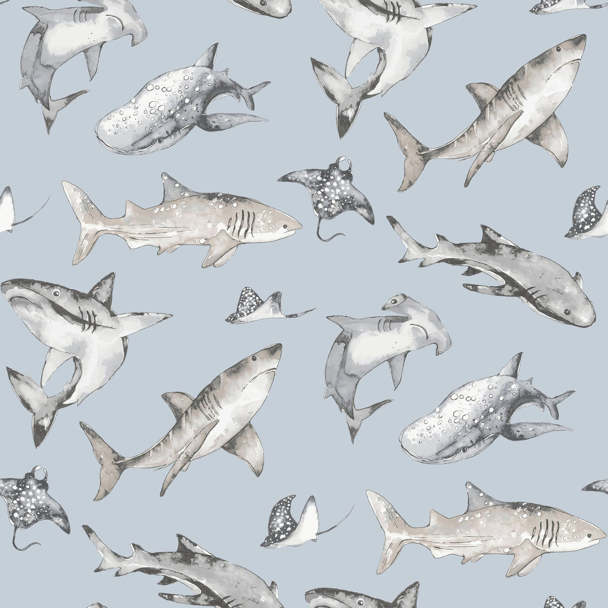 GALERIE WALLCOVERINGS Kids and Teens    Blue   - G78591