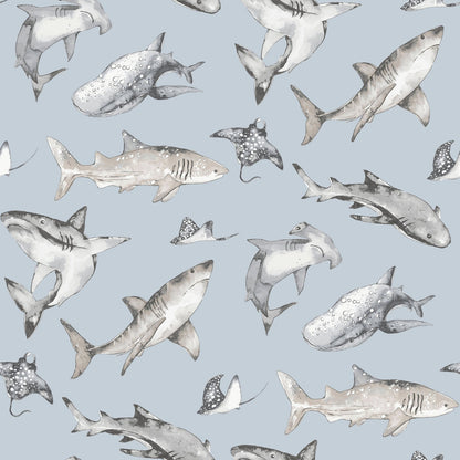 GALERIE WALLCOVERINGS Kids and Teens    Blue   - G78591