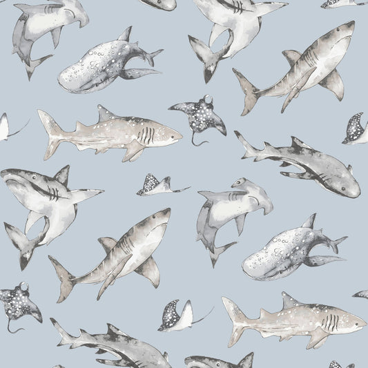 GALERIE WALLCOVERINGS Kids and Teens    Blue   - G78591