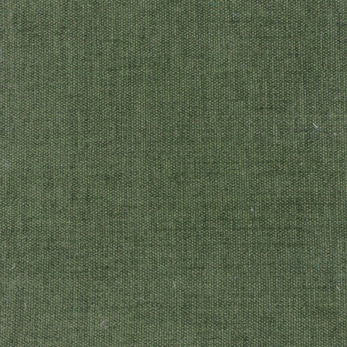 STOUT TEXTILES  UPHOLSTERY,CHENILLE TRADITIONAL, SOLID EVERGREEN   - GAIT-1