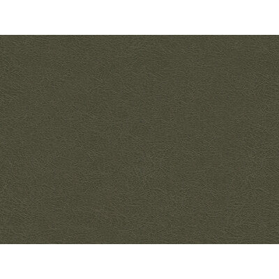 KRAVET DESIGN VINYL/FAUX LEATHER TEXTURE GREY,GREY,   - GAROUA.21.0