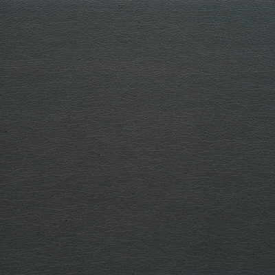 KRAVET DESIGN VINYL/FAUX LEATHER TEXTURE GREY,GREY,   - GATO.1121.0