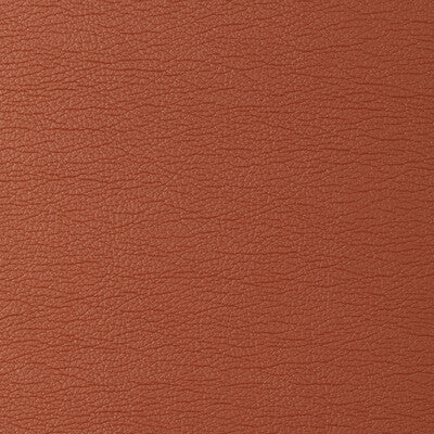 KRAVET DESIGN VINYL/FAUX LEATHER TEXTURE ORANGE,ORANGE,ORANGE   - GATO.12.0