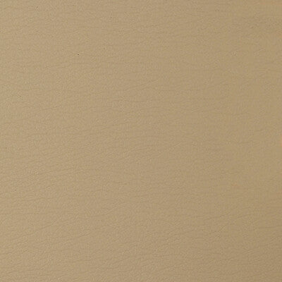 KRAVET DESIGN VINYL/FAUX LEATHER TEXTURE BEIGE,BEIGE,   - GATO.1416.0