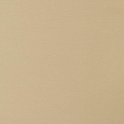 KRAVET DESIGN VINYL/FAUX LEATHER TEXTURE BEIGE,BEIGE,   - GATO.1616.0