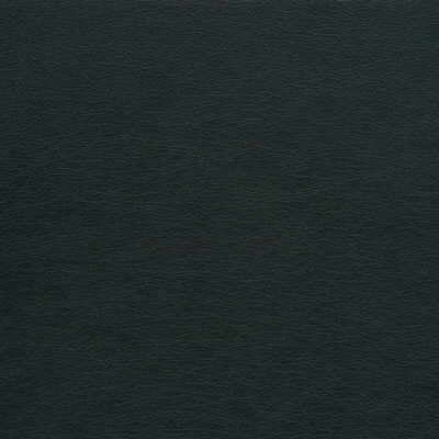 KRAVET DESIGN VINYL/FAUX LEATHER TEXTURE GREY,GREY,   - GATO.21.0