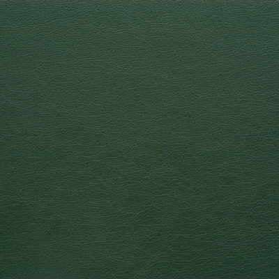 KRAVET DESIGN VINYL/FAUX LEATHER TEXTURE GREEN,GREEN,   - GATO.303.0