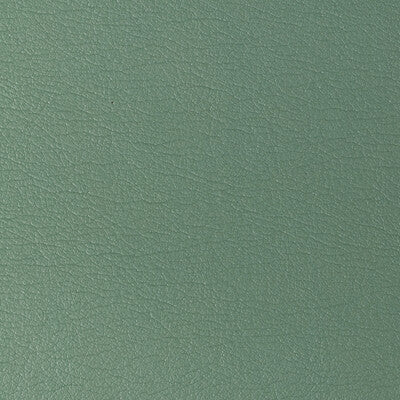 KRAVET DESIGN VINYL/FAUX LEATHER TEXTURE GREEN,GREEN,GREEN   - GATO.323.0