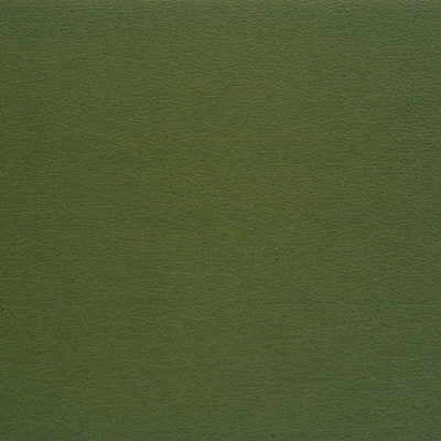 KRAVET DESIGN VINYL/FAUX LEATHER TEXTURE GREEN,GREEN,   - GATO.35.0