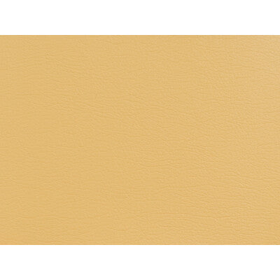 KRAVET DESIGN VINYL/FAUX LEATHER TEXTURE BEIGE,BEIGE,   - GATO.404.0