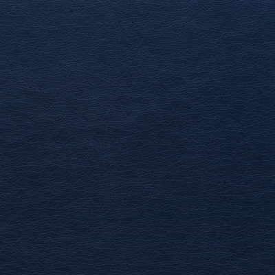 KRAVET DESIGN VINYL/FAUX LEATHER TEXTURE BLUE,BLUE,   - GATO.50.0