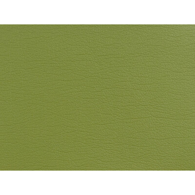 KRAVET DESIGN VINYL/FAUX LEATHER TEXTURE GREEN,GREEN,   - GATO.5353.0