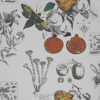 GASTON Y DANIELA LINNEO PRINT--ANIMAL/INSECTS-BOTANICAL & FLORAL ORIGINAL   - GDT4848.001.0