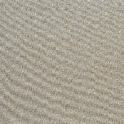 GASTON Y DANIELA  TEXTURE BEIGE,WHEAT,NEUTRAL   - GDT5389.2.0