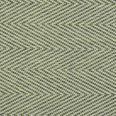 GASTON Y DANIELA INDOOR / OUTDOOR HERRINGBONE/TWEED WHITE,GREEN,   - GDT5507.005.0