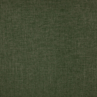 GASTON Y DANIELA CHENILLE TEXTURE GREEN,,   - GDT5670.009.0