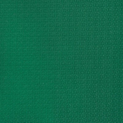 GASTON Y DANIELA INDOOR / OUTDOOR TEXTURE GREEN,,   - GDT5698.008.0