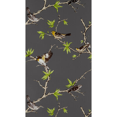 GASTON Y DANIELA VILLA FIORI PRINT--ANIMAL/INSECTS-BOTANICAL & FLORAL ANTRACITA   - GDW5104.001.0