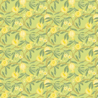 GASTON Y DANIELA GRANADAS PRINT--BOTANICAL & FLORAL-VEGETABLE/FRUIT AMARILLO   - GDW5439.004.0