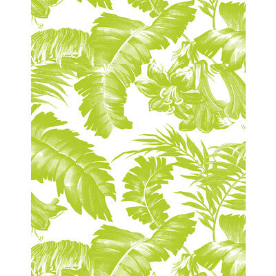 GASTON Y DANIELA PLANTATION PRINT--BOTANICAL & FLORAL-TROPICAL VERDE   - GDW5449.002.0