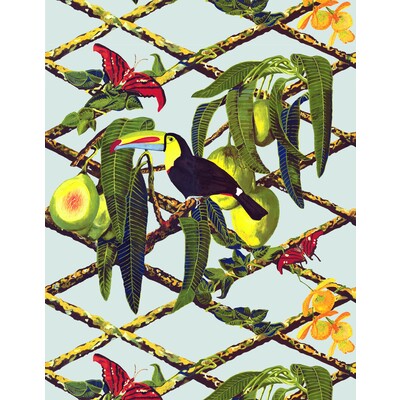 GASTON Y DANIELA TUCAN PRINT--ANIMAL/INSECTS-TROPICAL SLATE   - GDW5453.001.0