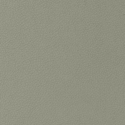 KRAVET DESIGN VINYL/FAUX LEATHER TEXTURE GREY,GREY,   - GENSLAR.1121.0