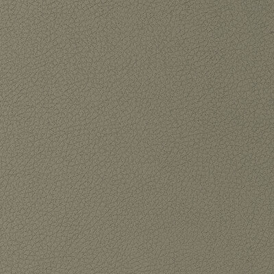 KRAVET DESIGN VINYL/FAUX LEATHER TEXTURE BEIGE,BEIGE,   - GENSLAR.1616.0