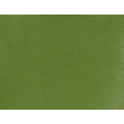 KRAVET DESIGN VINYL/FAUX LEATHER TEXTURE GREEN,GREEN,   - GENSLAR.333.0