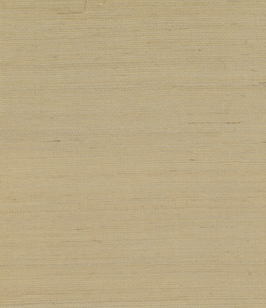 Seabrook Designs  Sisal Grasscloth Contemporary Warm Neutrals, Beiges   - GG10003