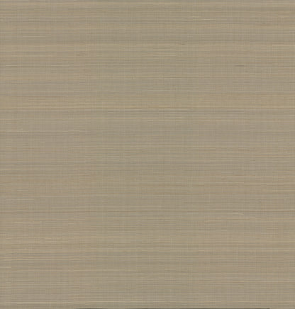 York Wallcoverings Grasscloth and Natural Resource Abaca Weave Taupe Wallpaper Traditional Grasscloth Browns   - GL0500GV