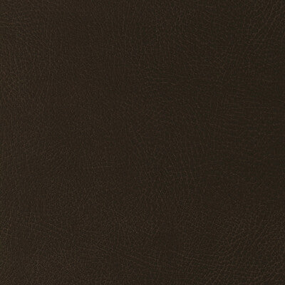 KRAVET DESIGN VINYL/FAUX LEATHER TEXTURE BROWN,BROWN,   - GLENDALE.6166.0