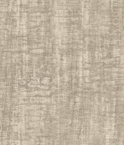 York Wallcoverings Woodnote Monteverde Putty Wallpaper Transitional Textures Beiges   - GN2551