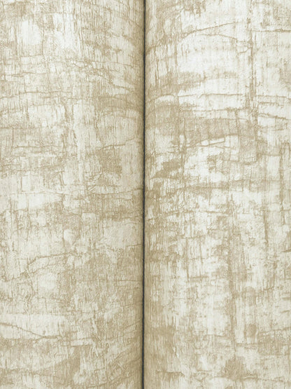 York Wallcoverings Woodnote Monteverde Buff Wallpaper Transitional Textures Beiges   - GN2553