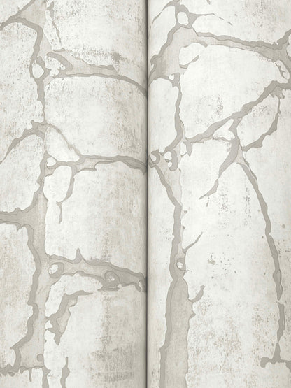York Wallcoverings Woodnote Mojave Grey Wallpaper Masculine Modern Whites and Off-Whites   - GN2583