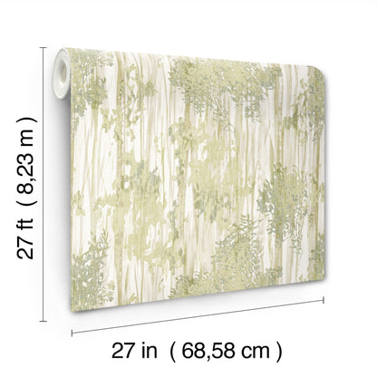 York Wallcoverings Woodnote Aspen Grove Green Wallpaper Modern Botanical Greens   - GN2601