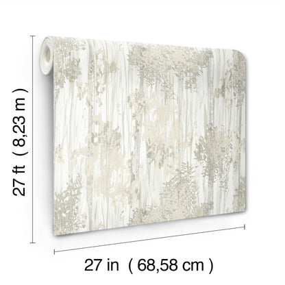 York Wallcoverings Woodnote Aspen Grove Grey Wallpaper Modern Botanical Greys   - GN2603