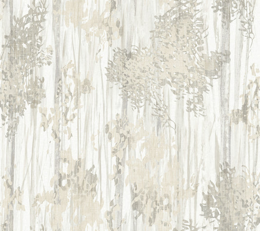York Wallcoverings Woodnote Aspen Grove Grey Wallpaper Modern Botanical Greys   - GN2603