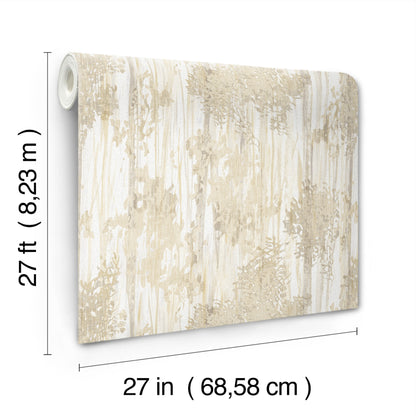 York Wallcoverings Woodnote Aspen Grove Sand Wallpaper Modern Botanical Beiges   - GN2604