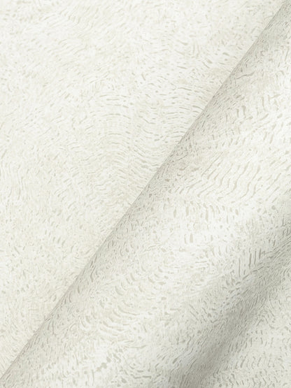 York Wallcoverings Woodnote Impression White Wallpaper Modern Small Prints Whites and Off-Whites   - GN2613