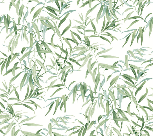 York Wallcoverings Beige and Neutrals Willow Grove Forest Wallpaper  Botanical Greens   - GO8241