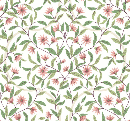 York Wallcoverings Greenhouse Jasmine Coral Wallpaper  Florals and Flowers Pinks   - GO8252