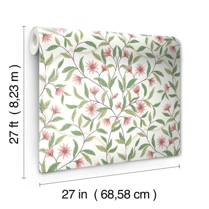 York Wallcoverings Greenhouse Jasmine Coral Wallpaper  Florals and Flowers Pinks   - GO8252
